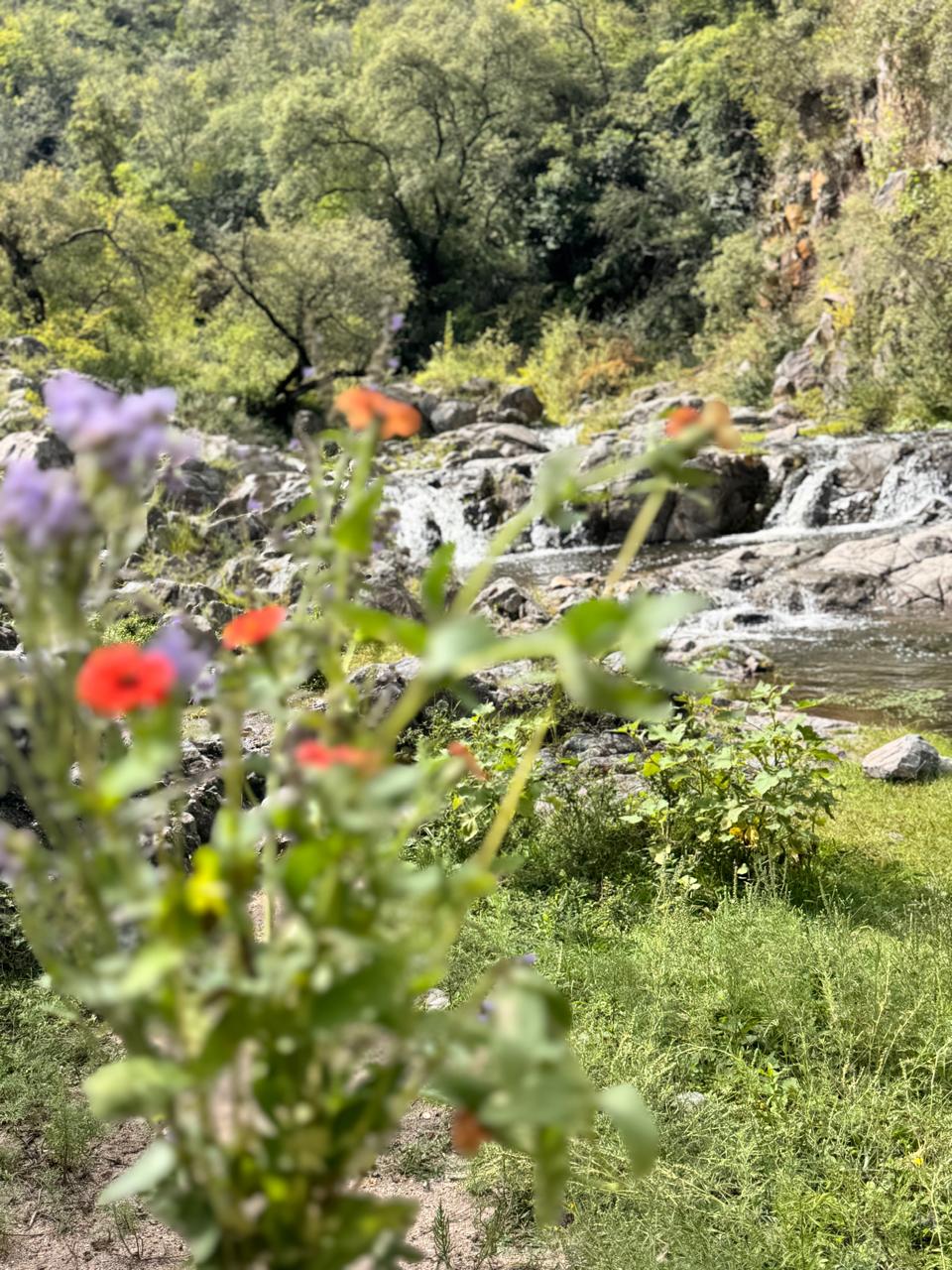 Paisaje de las sierras de Córdoba